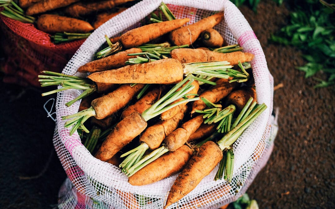 La Brasserie du Cours du Malt sera au Tomorrow Market